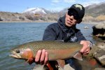 Colorado-River-Rainbow-Trout-2.jpg