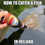 How to catch a fish in Ireland.jpg